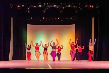 Območna revija plesnih skupin Finesa plesa 2024 (33)